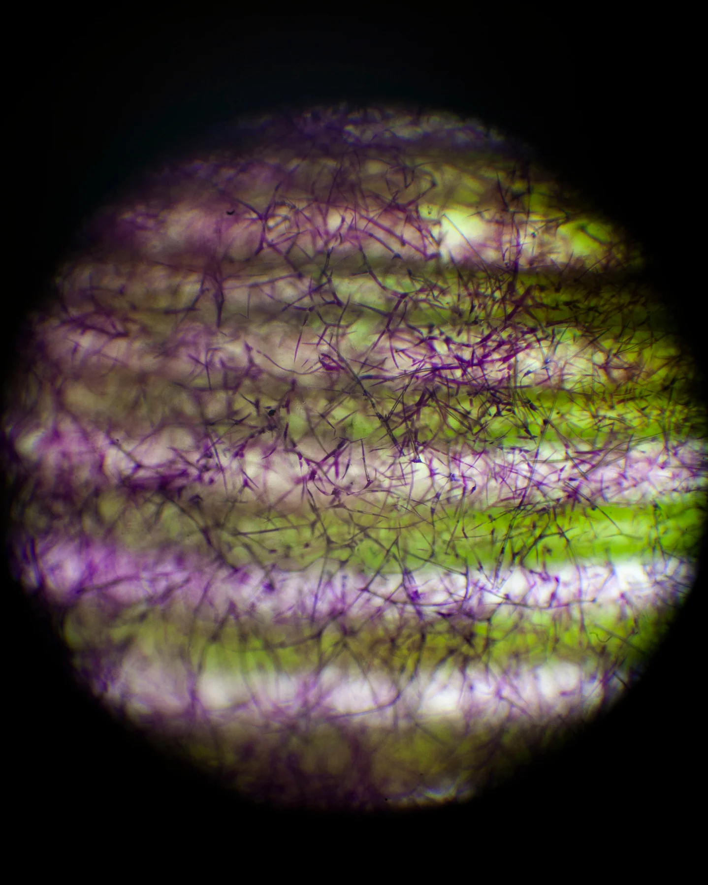 281 Fluide protecteur – Image 4